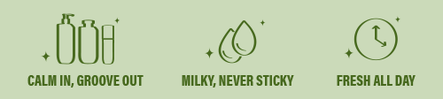 Matcha, But Disco Collection